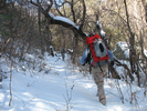 photo thumbnail #3