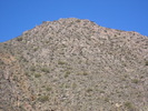 photo thumbnail #6