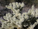 photo thumbnail #13