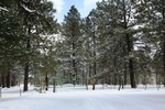 photo thumbnail #1