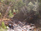photo thumbnail #1
