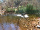 photo thumbnail #8