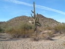 photo thumbnail #7