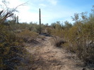photo thumbnail #9