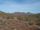 photo thumbnail #12