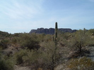 photo thumbnail #13