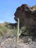 photo thumbnail #7