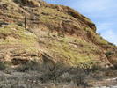 photo thumbnail #11