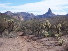 photo thumbnail #9