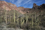 photo thumbnail #4