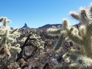photo thumbnail #5
