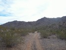 photo thumbnail #5