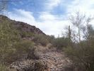 photo thumbnail #8
