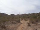 photo thumbnail #9