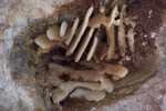 photo thumbnail #4