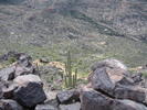 photo thumbnail #4