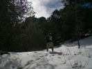 photo thumbnail #11