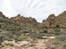 photo thumbnail #6