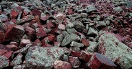 photo thumbnail #10