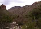 photo thumbnail #2