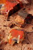 photo thumbnail #2