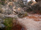 photo thumbnail #12