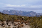 photo thumbnail #2