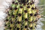 photo thumbnail #8