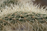 photo thumbnail #9