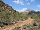 photo thumbnail #1