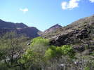 photo thumbnail #6