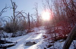 photo thumbnail #10