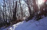 photo thumbnail #12