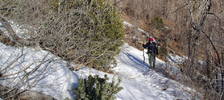 photo thumbnail #13