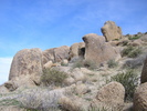 photo thumbnail #4