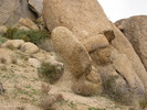 photo thumbnail #11