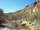 photo thumbnail #9