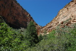 photo thumbnail #8