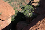 photo thumbnail #7