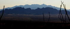 photo thumbnail #10