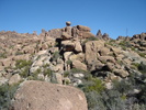 photo thumbnail #7