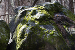 photo thumbnail #9
