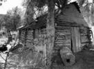 photo thumbnail #10