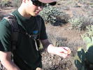 photo thumbnail #3