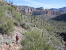 photo thumbnail #8