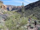 photo thumbnail #11