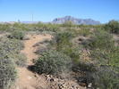 photo thumbnail #3