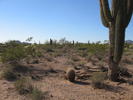 photo thumbnail #4