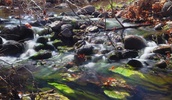photo thumbnail #6