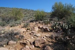 photo thumbnail #4